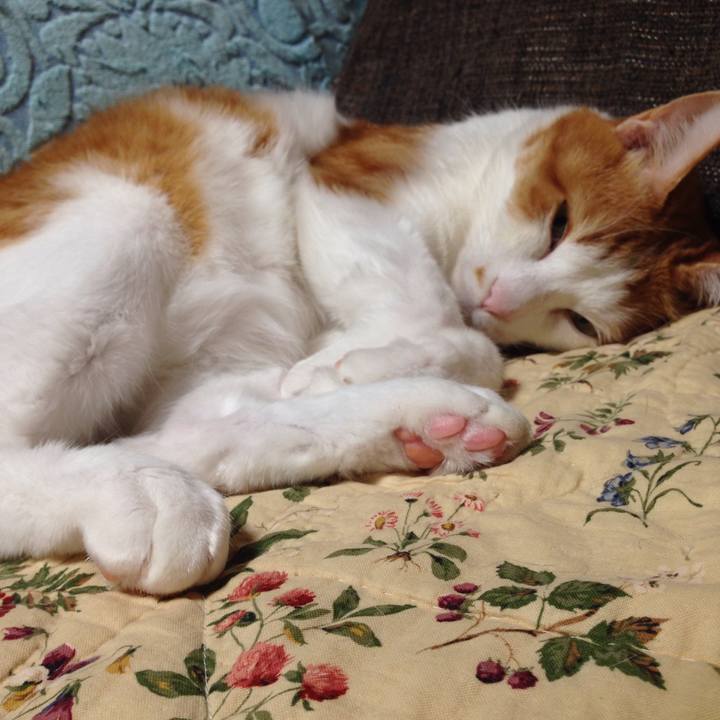 0a44997e cb53 4a6f 8cbe 624306ae1a34