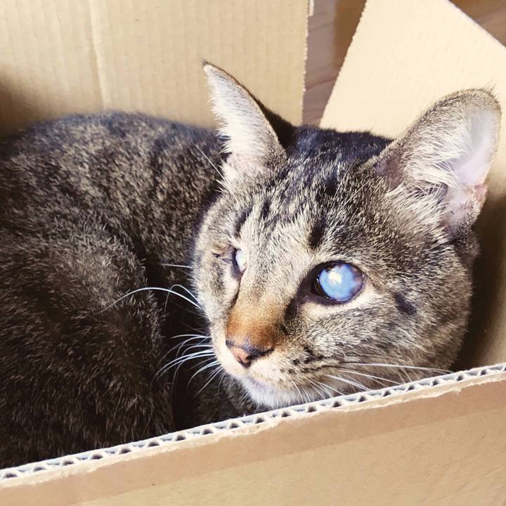 0a45dc36 4bd1 4ab8 8407 7bba1a344ce8