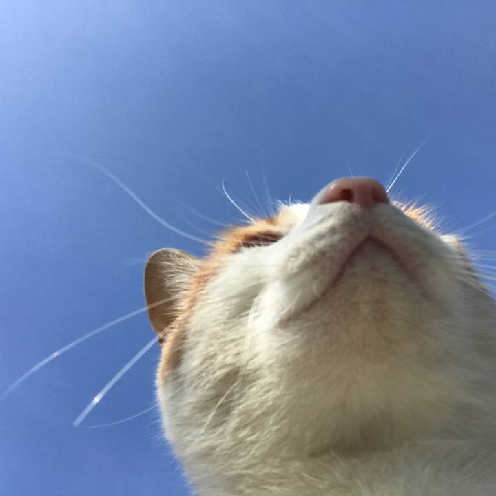 0a46157e ad28 4666 adcc a18953d4adaf