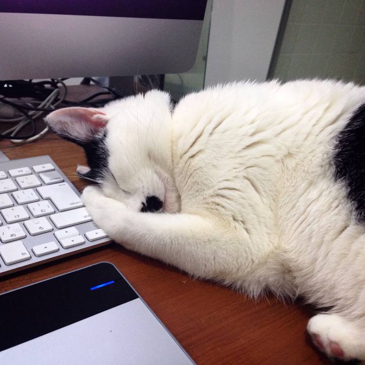 0a46948b 3d1c 41ec b359 4479051d8caf