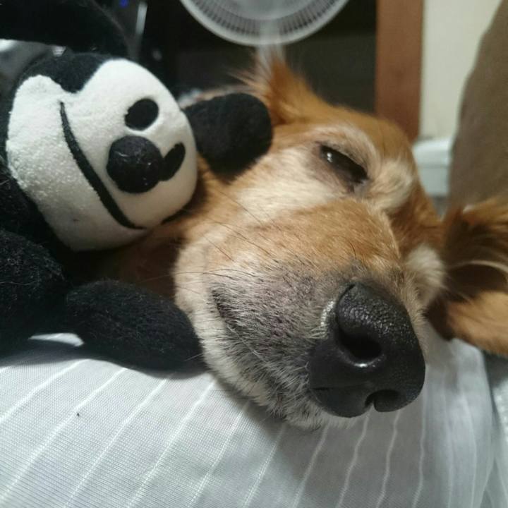 0a4711a9 8e1b 4c8b be94 7091787d2d7a