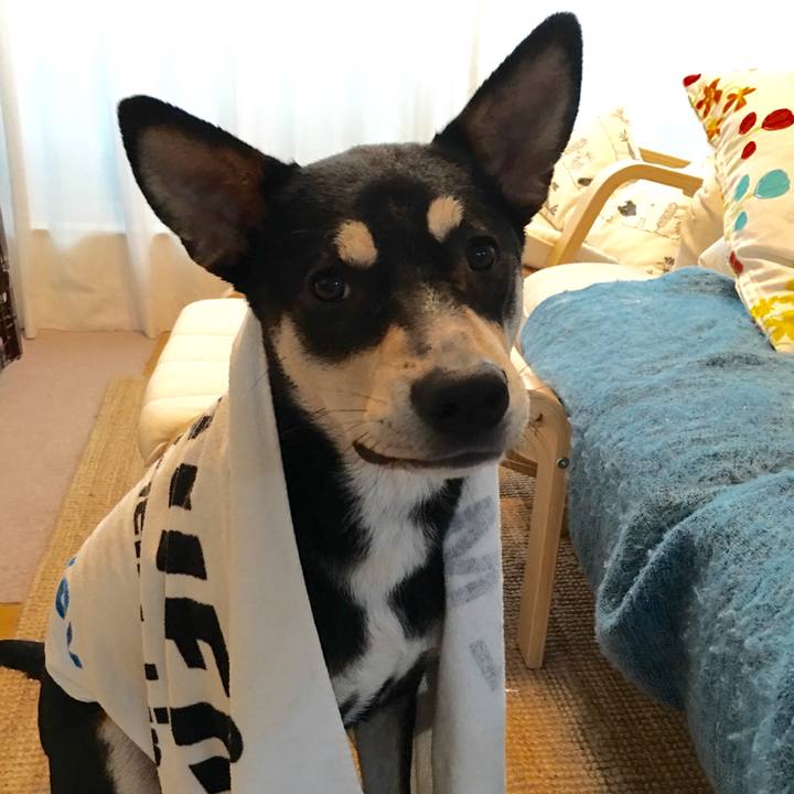 0a47448e c3a2 4c95 9a9b d5ca976892ea