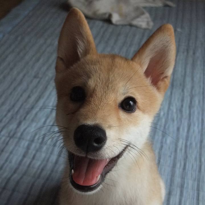 0a47c4fd 7600 4190 b755 1f011e0cf7bd