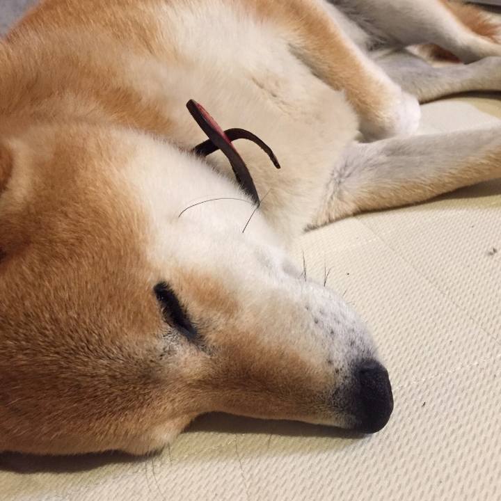 0a47cb69 ef37 44ec b3af 44338b1197da