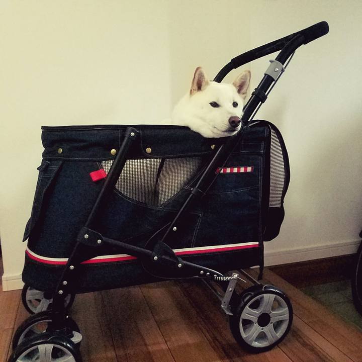 0a4847d2 5fa9 4087 97bc 87206436369e