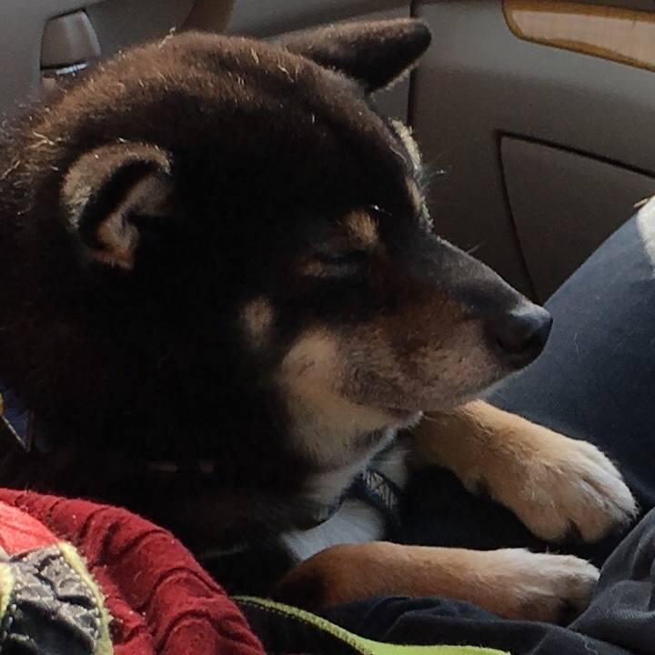 0a484d84 7cfd 4a7b a762 0db91d32eb09