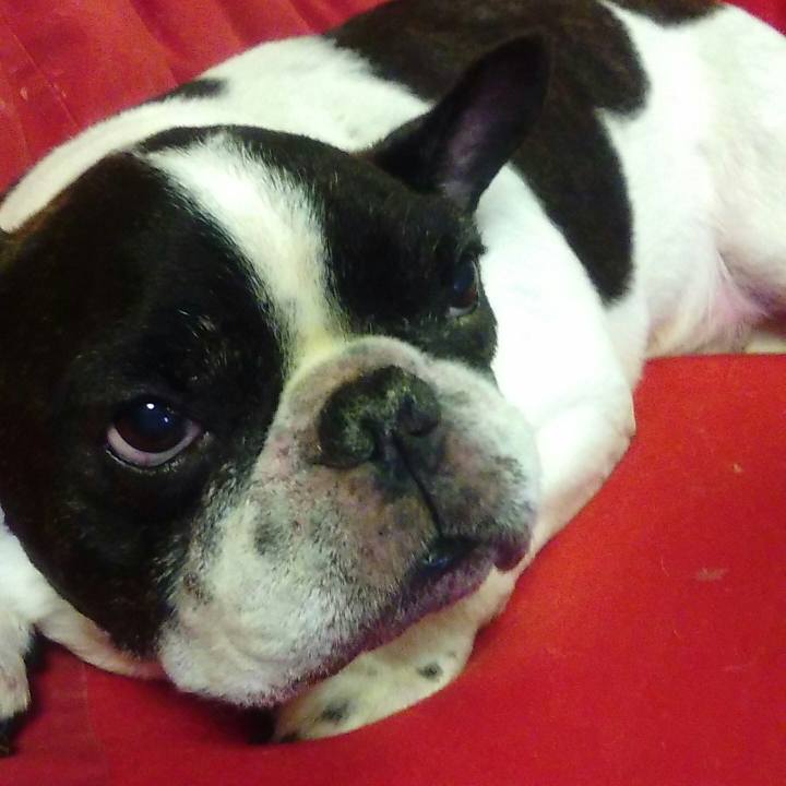 0a48c50b 756a 4c69 91c0 7214b2018b49