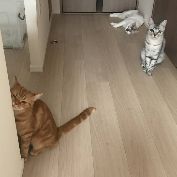 0a496066 df94 4058 a5c8 7703c8d8666d