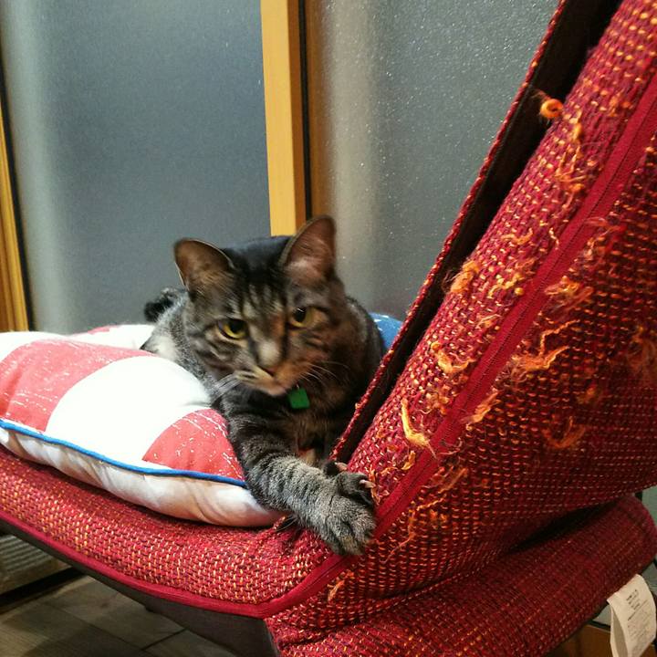 0a49ea6f 134b 486b a895 60bcd4f4d5f0