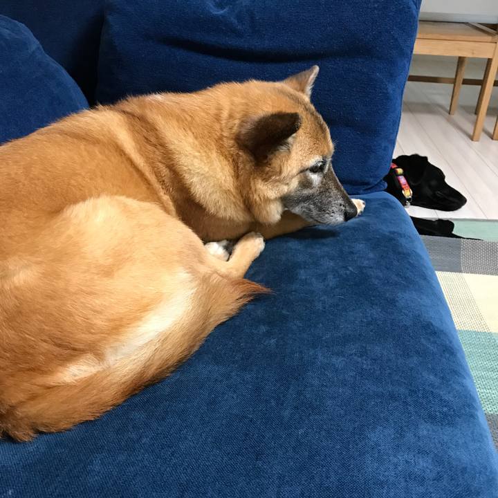 0a4a0d57 6c42 49a3 9e2e e4991ba9331d