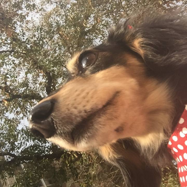 0a4a13ab a356 4b41 ab78 a7a0ab7c5592