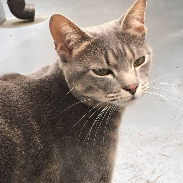 0a4a53e1 5580 4b8c 8a8a 85e9db460efe