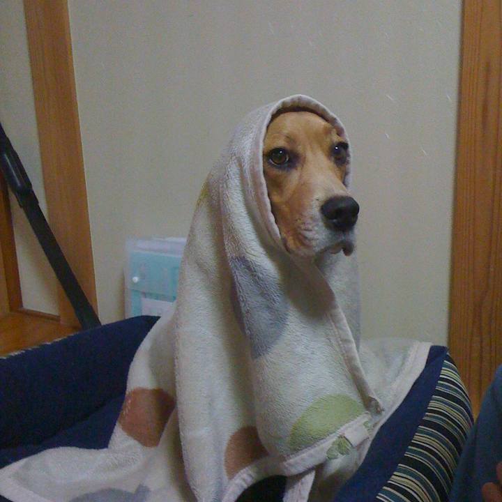 0a4be497 5455 4881 b395 df4bb69d9fdc