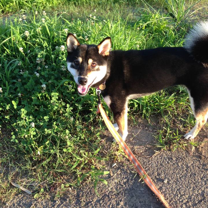 0a4df712 4cad 4709 ac26 123d3c8e8027