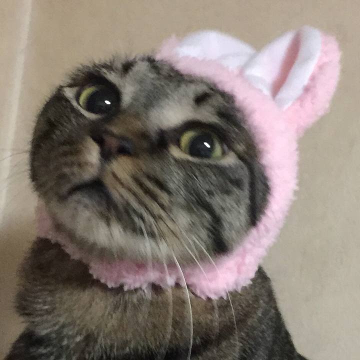 0a4e6068 3153 4b63 9501 b0c36f093cbe