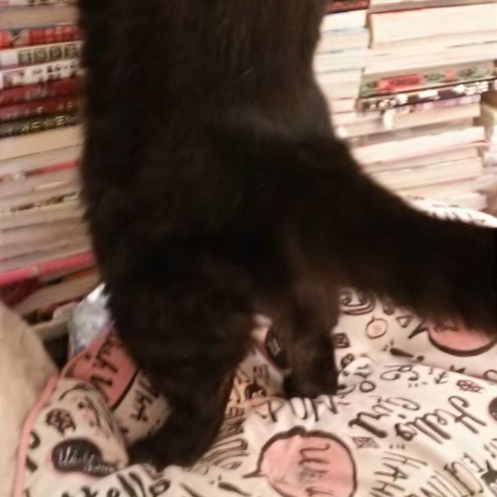 0a4e68da 0b9f 4de9 b1a3 537cd2b84a91