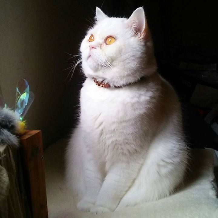 0a4e6d01 f27f 4143 ac01 6f0034e3296c