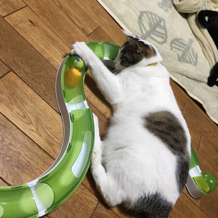 0a4e9e09 a270 4c20 9454 d3d418bafffb