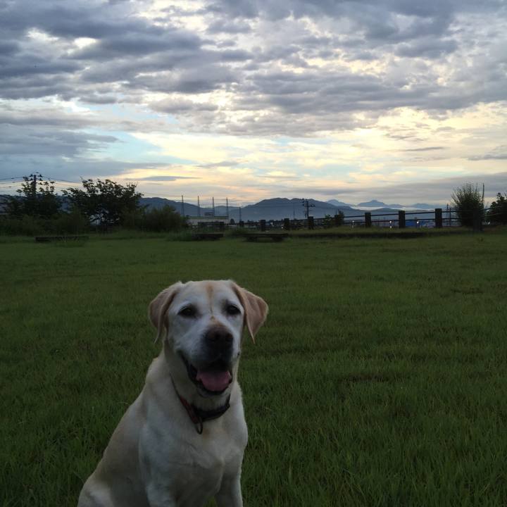 0a4ef4a6 e74d 4feb 8387 3d20d1b2b3cb