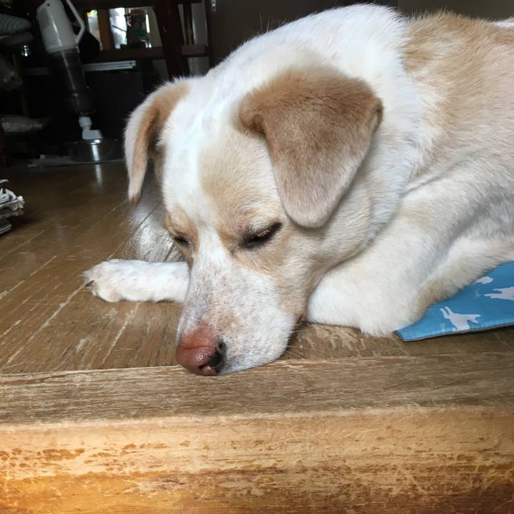 0a4f0ccd 05eb 42c9 a493 205208a475a6