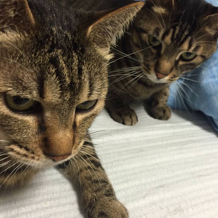 0a4f700e e41a 4a51 8d62 b9dc7fb5a52c