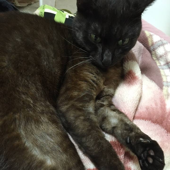 0a4fc98e 20f8 4c02 b479 4c714c0eecfe