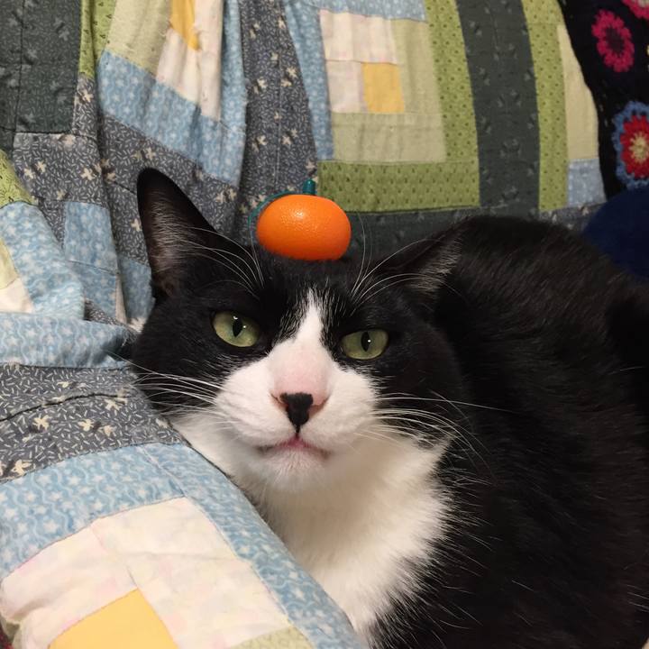 0a4fcb16 12e5 48e4 ba59 f05cdfe15305