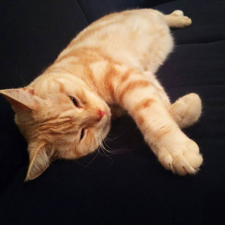 0a501e9b 5dbd 4f89 a77c 640ec47638ac