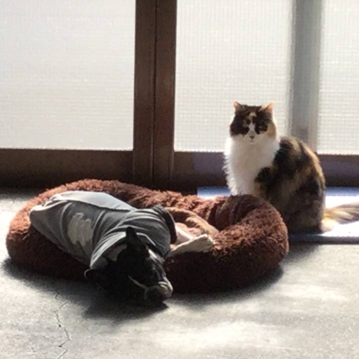 0a5092bc ccd6 4f0c bb84 c5bebf5bbfb2