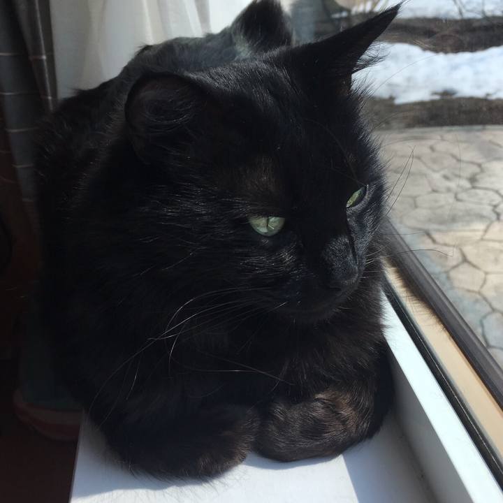 0a50b314 90dc 4e77 afb0 8afc8453dbf2