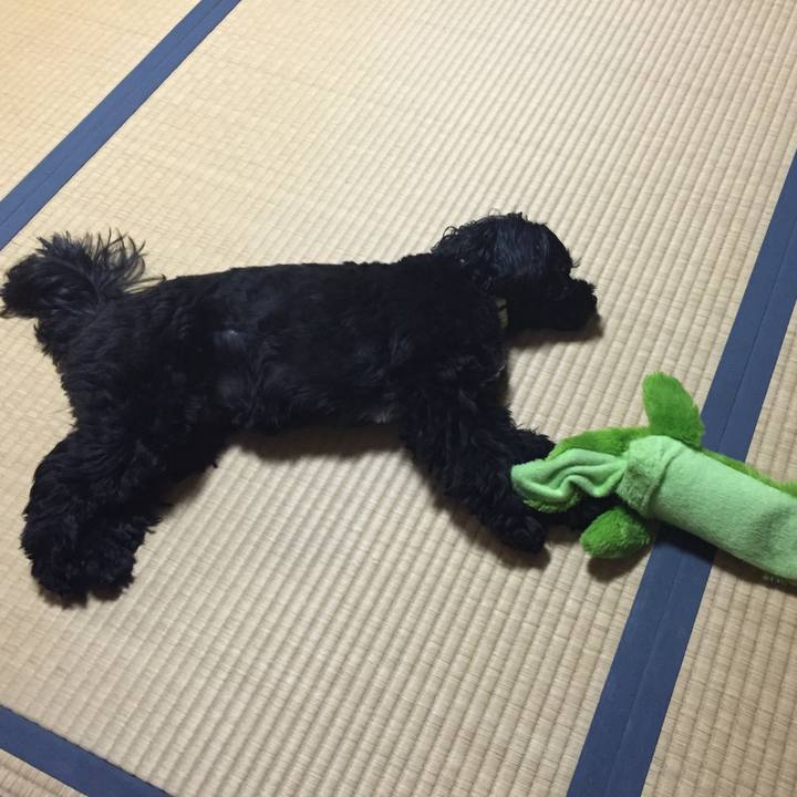 0a50ffea 65e4 4c54 82d6 739817234703