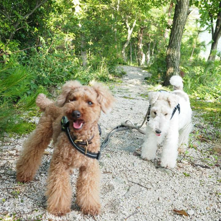 0a517ebf d12a 40bf 891e de3567fec5a7