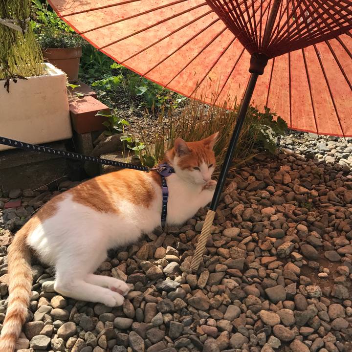 0a518a83 309c 44a6 ad17 d97f183350b3