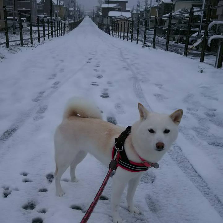 0a52613c 6e39 4fb5 92dc 160e3fc75ee7