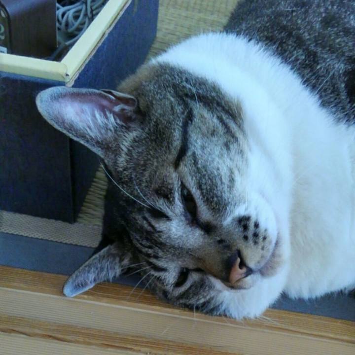 0a52e7ed 3e9a 46b1 a401 e7f32e50d866