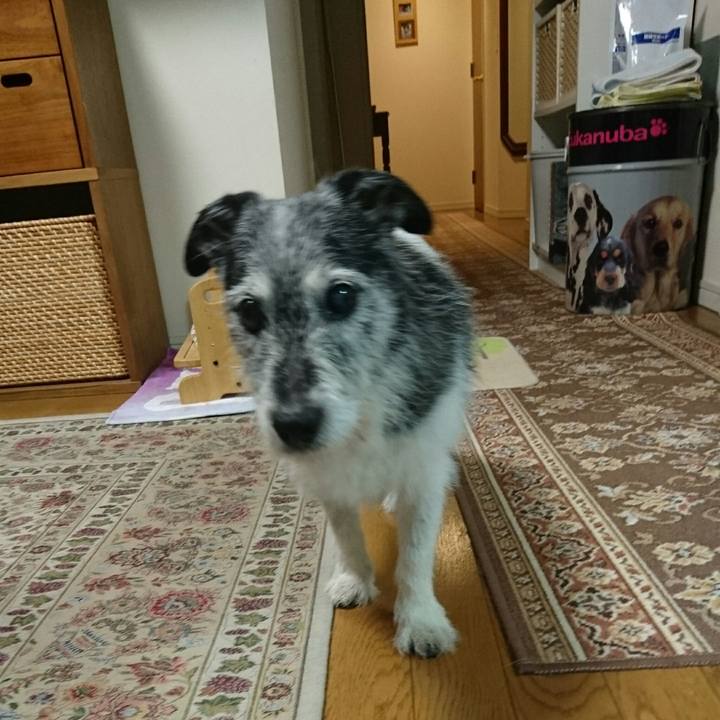 0a52e826 b504 4cb2 a4e9 cdf1780fe8e4