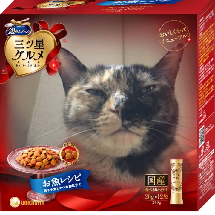 0a5325a9 dace 4eb9 91dd 87a19e0b3392