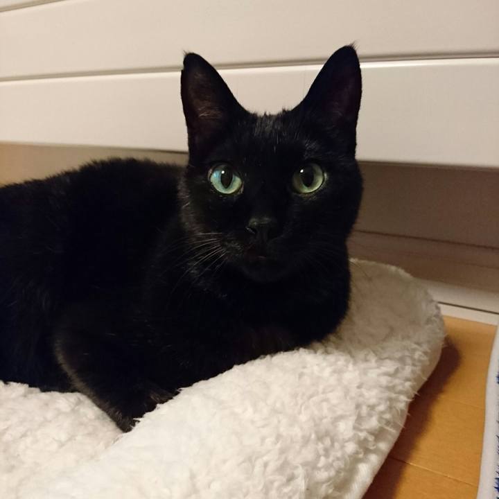 0a53da42 433b 4e8f ac08 ca438ad42c18