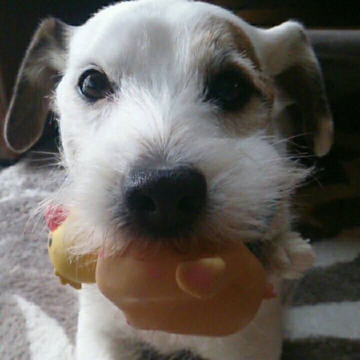 0a556ada 17dc 4afb 9e14 2ddcbcd0696b