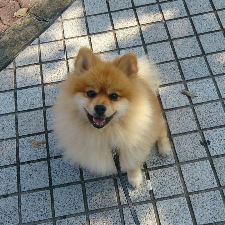 0a55a853 0436 48f2 a430 b7b27ee9c53b