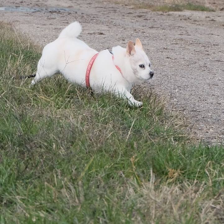 0a5631cb 4e4e 4915 af34 4d1f911c7c39