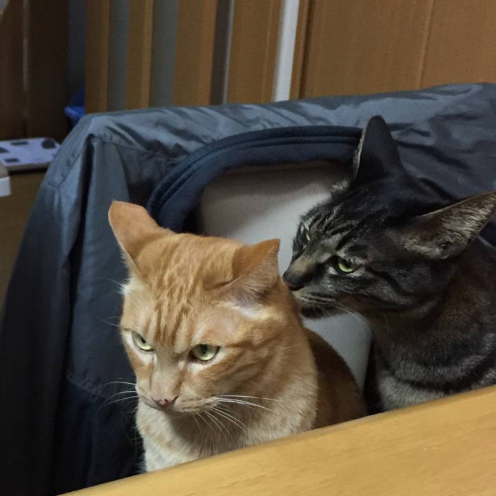 0a56d721 a073 4b27 823c cd80c93fd21f