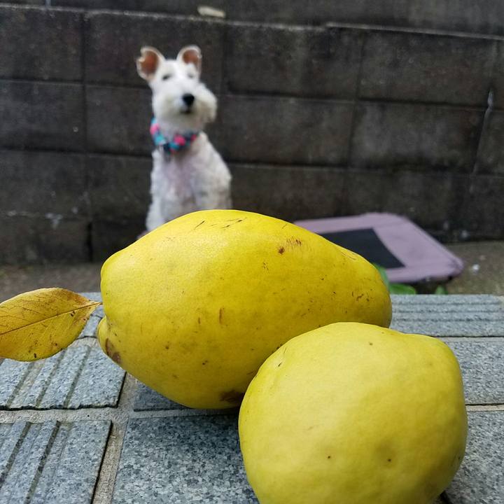 0a56f5cf 6fba 490b 94a8 5b81049c4e24