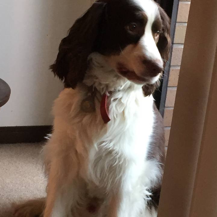 0a574ce5 33eb 4777 95c6 45567a76c328