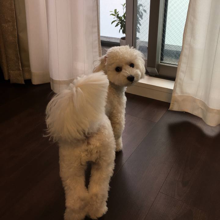 0a577b88 effe 4bdf af33 8625cfdf89b5