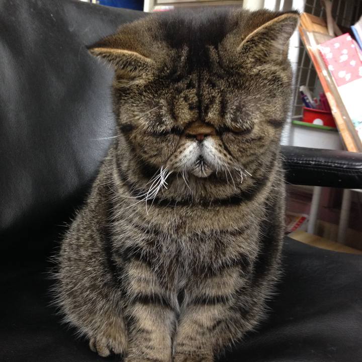 0a57b6a9 bfa6 47b2 aa53 196a7d0f4283