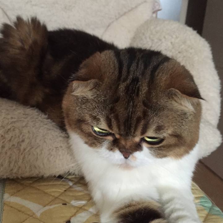 0a5836ac 1743 455d a041 d944522e5c7e