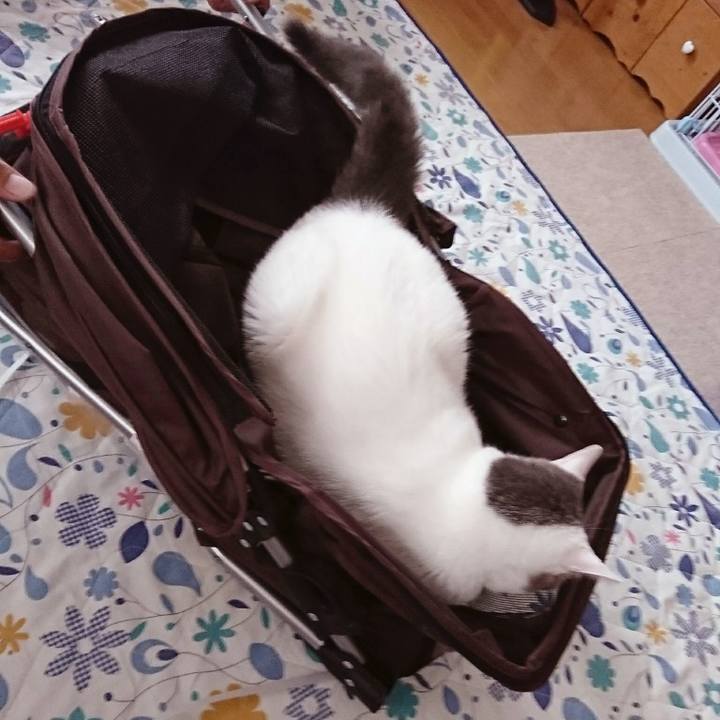 0a58ccc8 34df 4353 b49f 7edc054b7555