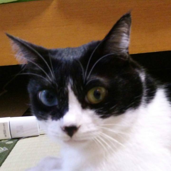 0a5919f3 cc14 47f9 bc98 cc375cf301fe