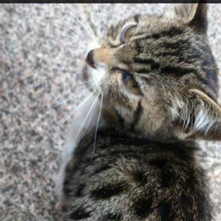 0a594c3a 0621 48ac b7c0 2b3d6faef0b7